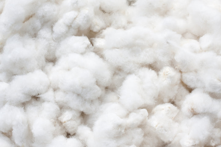 Raw organic cotton bolls